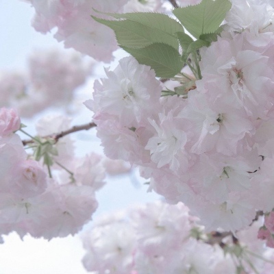 栖霞福瑞交流群